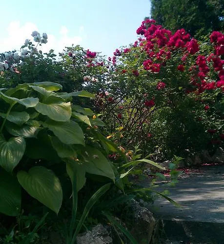 Apartament Viktoria Zalakaros