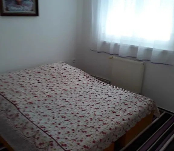 Viktoria Apartament *